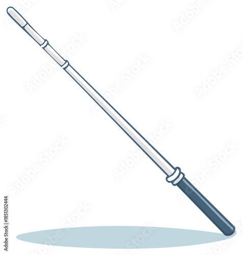 Telescopic pole with handle and adjustable sections