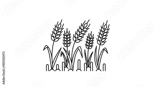 Minimalist nature illustration featuring a green grass silhouette vector with spring flowers and floral elements arranged in a decorative summer plant design