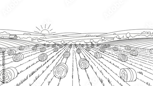 Vintage hand drawn black line art sketch of a wheat plant engraving doodle for a vector design pattern