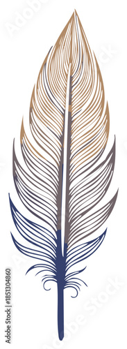 Detailed illustration of a single feather with flowing lines in brown gray and blue tones