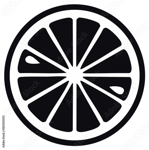 Citrus fruit slice icon. Black and white lemon, orange, or lime cross section vector illustration.