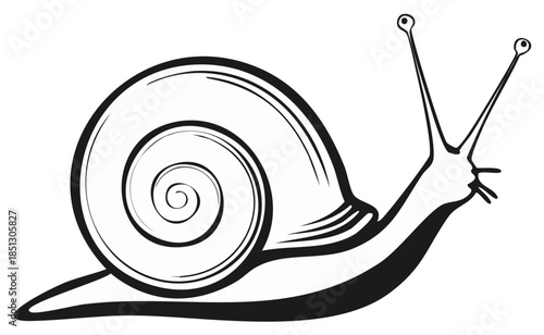 Crawling Snail Illustration Detailed Spiral Shell Animal Design Element