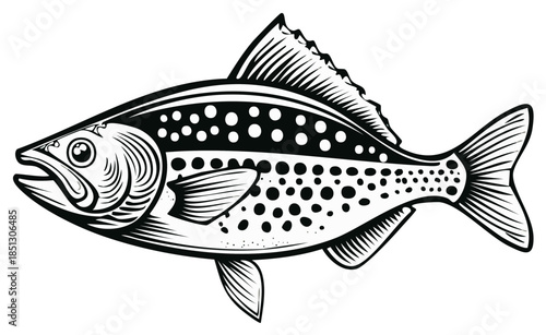 Engraved spotted fish illustration in black and white for decorative applications.