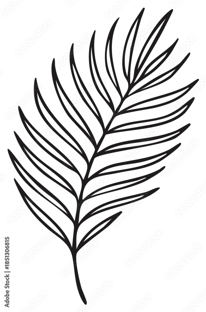 Obraz premium Minimalist hand drawn palm leaf line art illustration