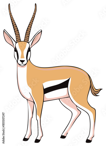 Graceful African gazelle antelope standing with elegant long horns vector illustration