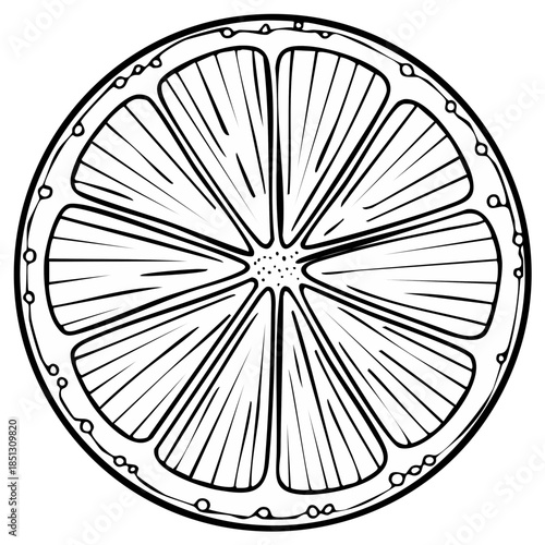 Lime Slice Black and White Illustration Hand Drawn Style Citrus Fruit Circle Pattern