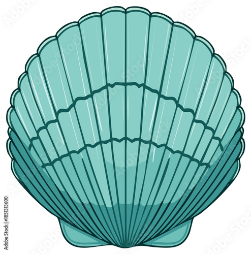 Teal scallop shell vector illustration marine mollusk ocean summer beach graphic design element
