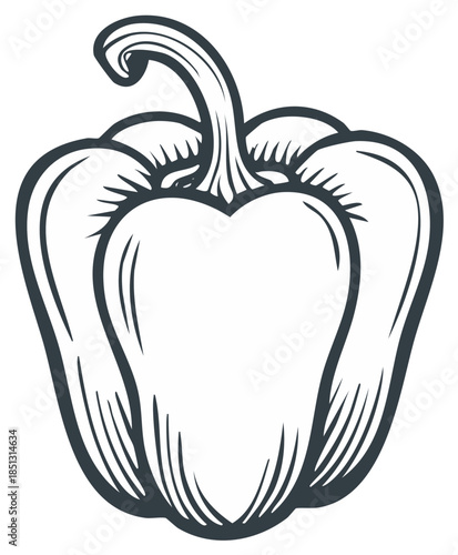 Bell Pepper Graphic Illustration Sweet Pepper Vegetable Produce Line Art Black and White Design
