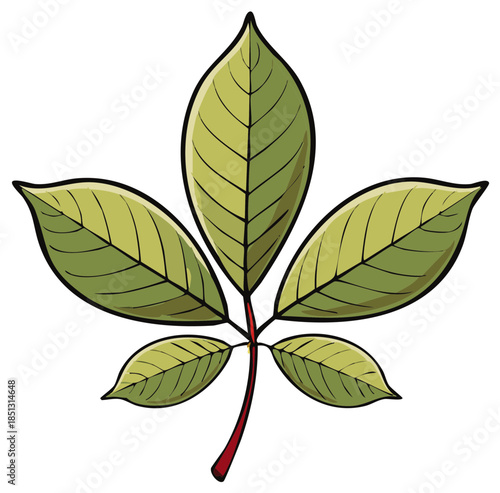 Green horse chestnut leaf with red stem and bold black outlines