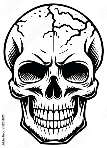Cracked Skull Vector Art, Detailed Black and White Anatomical Illustration, Graphic Skeleton Head