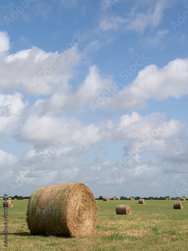 Close Up of a Large Round Bale of Hay with Multiple Hay Bales in the Background and Cloudy Sky Above