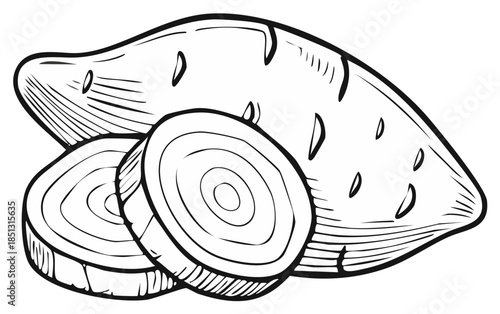 Hand-drawn illustration of a sweet potato with two slices revealing concentric rings