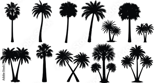 Diverse tropical palm tree silhouettes collection. Perfect for summer vacation designs, beach themes, and exotic island landscapes. Variety of coastal flora illustrations