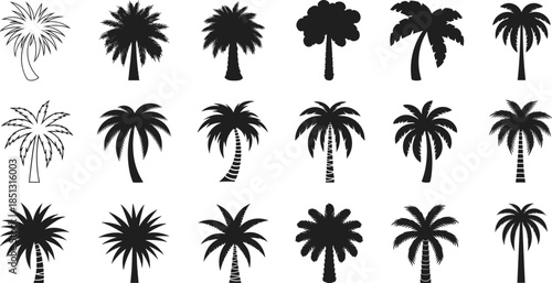 Set of diverse palm tree silhouettes representing various styles and shapes for design elements and tropical themes