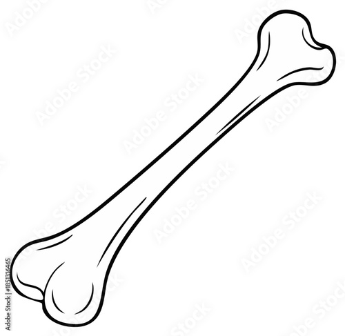 Generic single bone illustration in a clean outline cartoon style