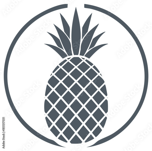 Stylized gray pineapple fruit icon within a simple circular frame. Modern vector graphic logo illustration.