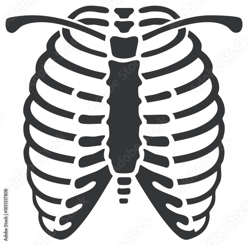 Rib Cage Illustration Skeleton Anatomy Thorax Ribs Bones Health Symbol Icon