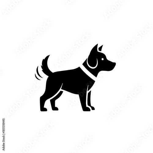 Black dog with white collar