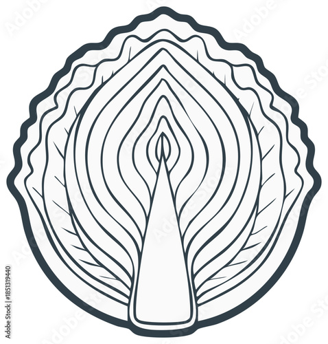 Cabbage Head Vegetable Cross Section Outline Design Element Healthy Food Concept