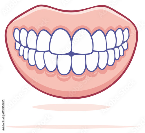 Smiling Mouth With Healthy White Teeth and Pink Gums Oral Hygiene Concept