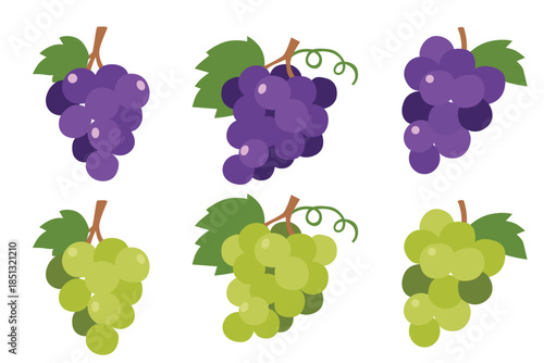  Set of grape  vector logo isolated on white background.	