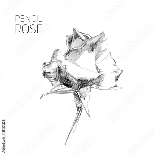rose pencil