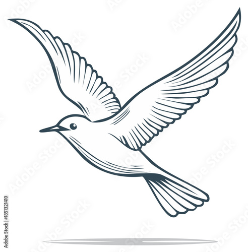 Elegant outline drawing of a bird in full flight with wings spread gracefully across white space