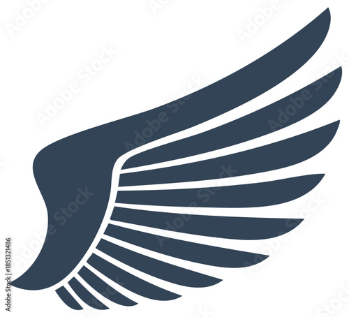 Stylized Wing Illustration for Flight, Aviation, and Angelic Concepts with Feathered Structure and Simplified Design