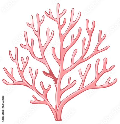 Stylized pink coral branch illustration representing delicate marine life and ocean ecosystems