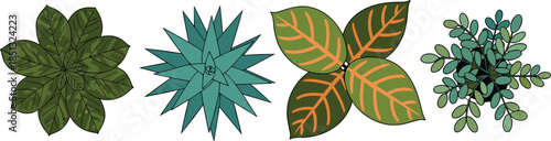 Collection of Four Different Indoor Houseplants from Top Down View for Interior Design Planning CAD Drawing Flat Vector Illustration