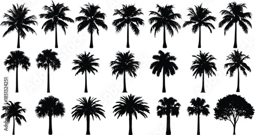 Collection of Diverse Tropical Palm Tree Silhouettes and Exotic Foliage for Landscape Architecture Design Flat Vector Illustration CAD Drawing