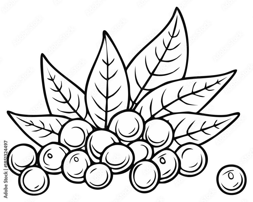 Fototapeta premium Outline Image of Round Berries with Leaves Simple Black and White Drawing for Coloring