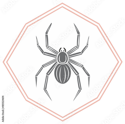 Stylized Gray Spider Illustration Inside Octagon Frame