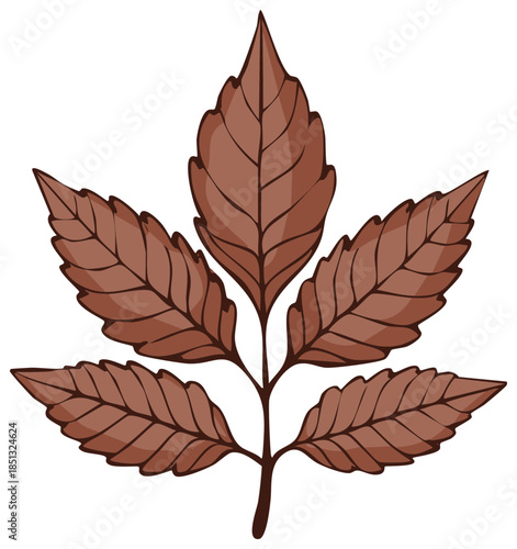 Brown compound autumn leaf illustration simple vector nature graphic