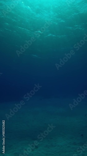 Wallpaper Mural Vertical footage, Slow motion of underwater sun rays shines below water illuminating the sea depths, Bright sunlight underwater in the depth Ocean with ripples on waves surface, Bottom view  Torontodigital.ca