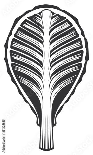 Bold graphic linocut style illustration of a cabbage leaf cross section