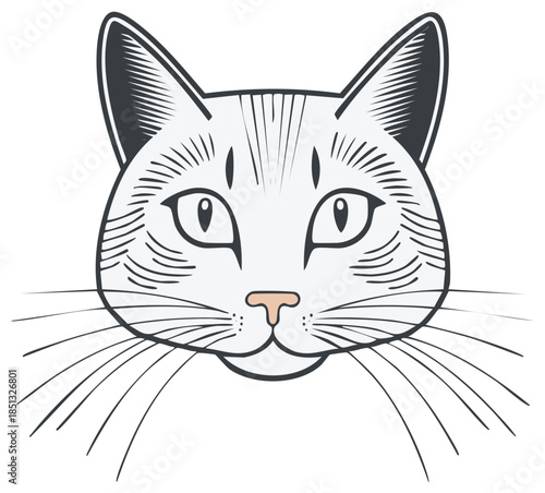 Stylized cat face illustration with whiskers, linear vector drawing of a feline pet animal