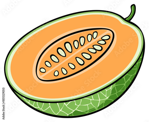 Cartoon illustration of a half cut cantaloupe melon. Showing orange fruit flesh with seeds and green rind.