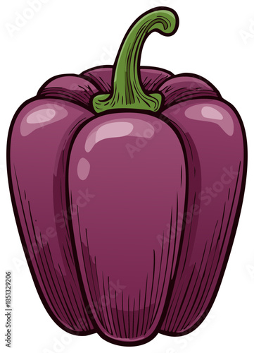 Purple bell pepper food illustration with green stem on white