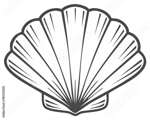 Stylized Seashell Outline Graphic