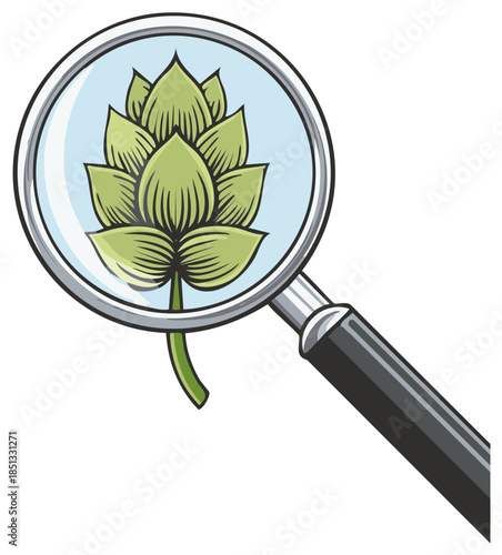 Hops flower viewed through a magnifying glass showing detail and potential inspection