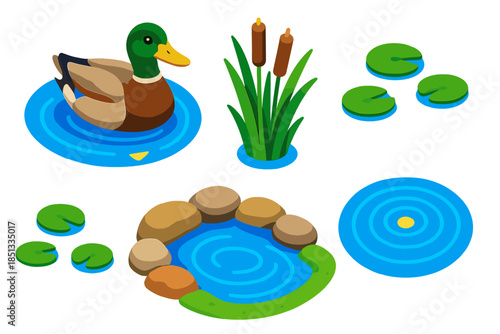 Duck Pond Scene. Isometric vector illustration set Duck Pond Reed: mallard duck, reed cluster, floating lily pads, rippling water