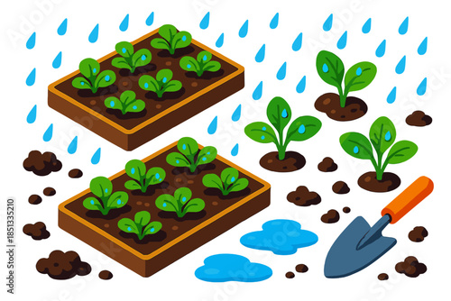 Rainy Vegetable Garden. Isometric vector illustration set Vegetable Patch Rain: small garden beds, leafy vegetable sprouts,