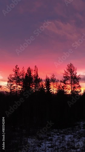 Majestic sunrise coloring sky with vibrant red and purple hues over dark, snow covered taiga forest on the shortest day of winter solstice, creating peaceful and colorful nordic scene. Backward fly