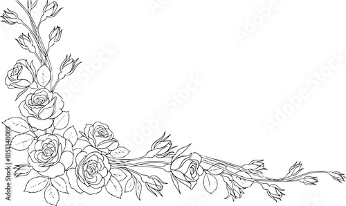 delicate floral corner element featuring roses line art silhouette vector illustration
