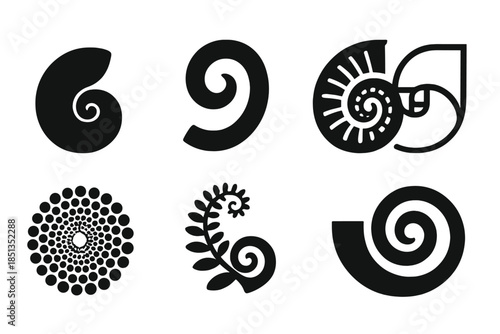 Spiraling Natural Geometry. Solid style icons of spiraling natural geometry: golden curve shell, organic number swirl, patterned