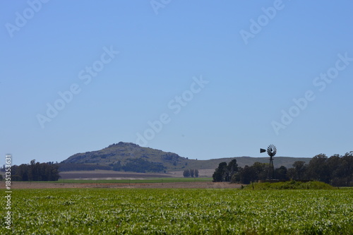 Arrecifes, proxima cosecha 2026, Argentina