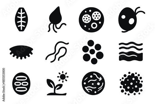 Phytoplankton Icon Diversity. Solid style icons of Phytoplankton diversity: diatom, dinoflagellate, coccolithophore, chlorophyte,