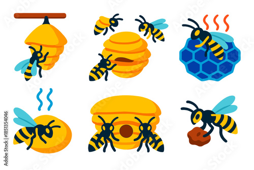 Wasp Nest Construction. Isometric vector illustration set Social wasp nest construction: nest formation, chewed fiber layers,