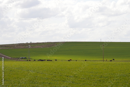 Llanura Pampeana, Pampa húmeda, Argentina